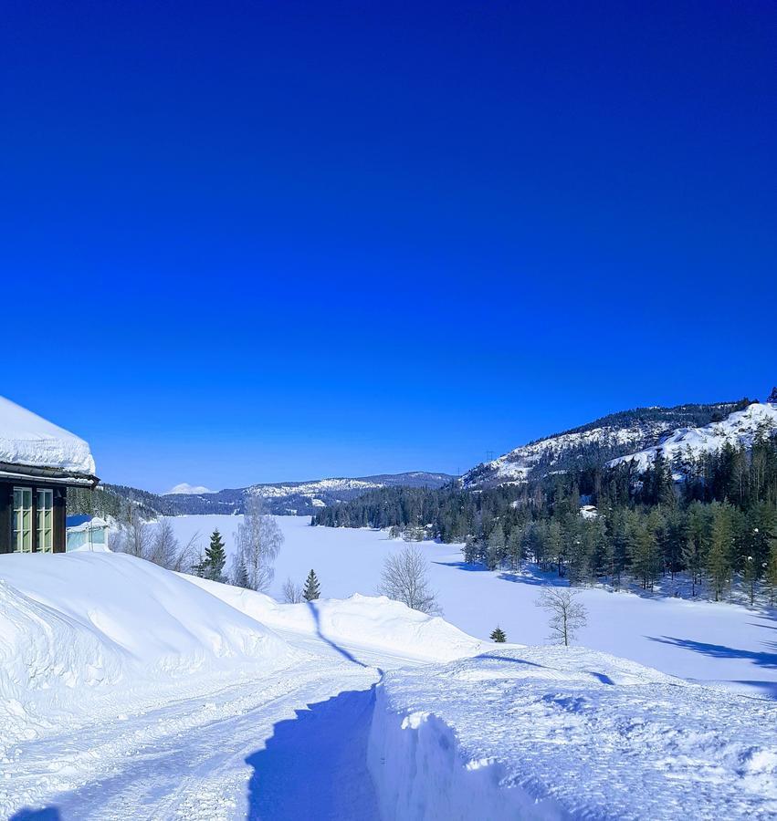 Panorama Cabin- Jacuzzi Available October 2025-May 2026 Lona Luaran gambar